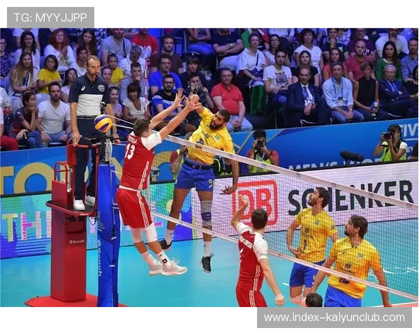 排球世界杯:巴西男排全胜夺冠 排球世界杯:巴西男排全胜夺冠